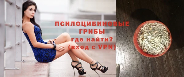 spice Арсеньев