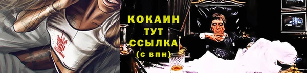 индика Бабаево