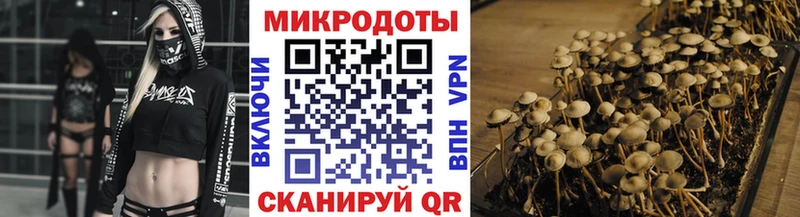 Псилоцибиновые грибы Psilocybine cubensis Новоаннинский